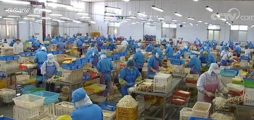 拓市場穩訂單，我國蔬菜出口逐步回暖